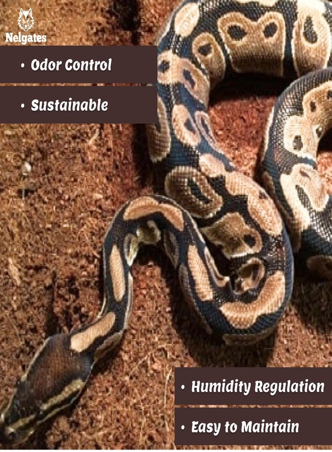 Nelgates مكعبات نيلغيتس من جوز الهند لفرش الحيوانات الأليفة | للكلاب والقطط والزواحف والثعابين والدجاج والطيور 650 غرام - Image 3
